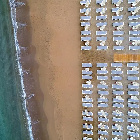 Hotel Trendy